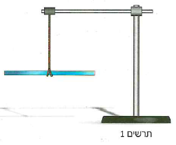 (בספר תמונה, היעזר במנחה)